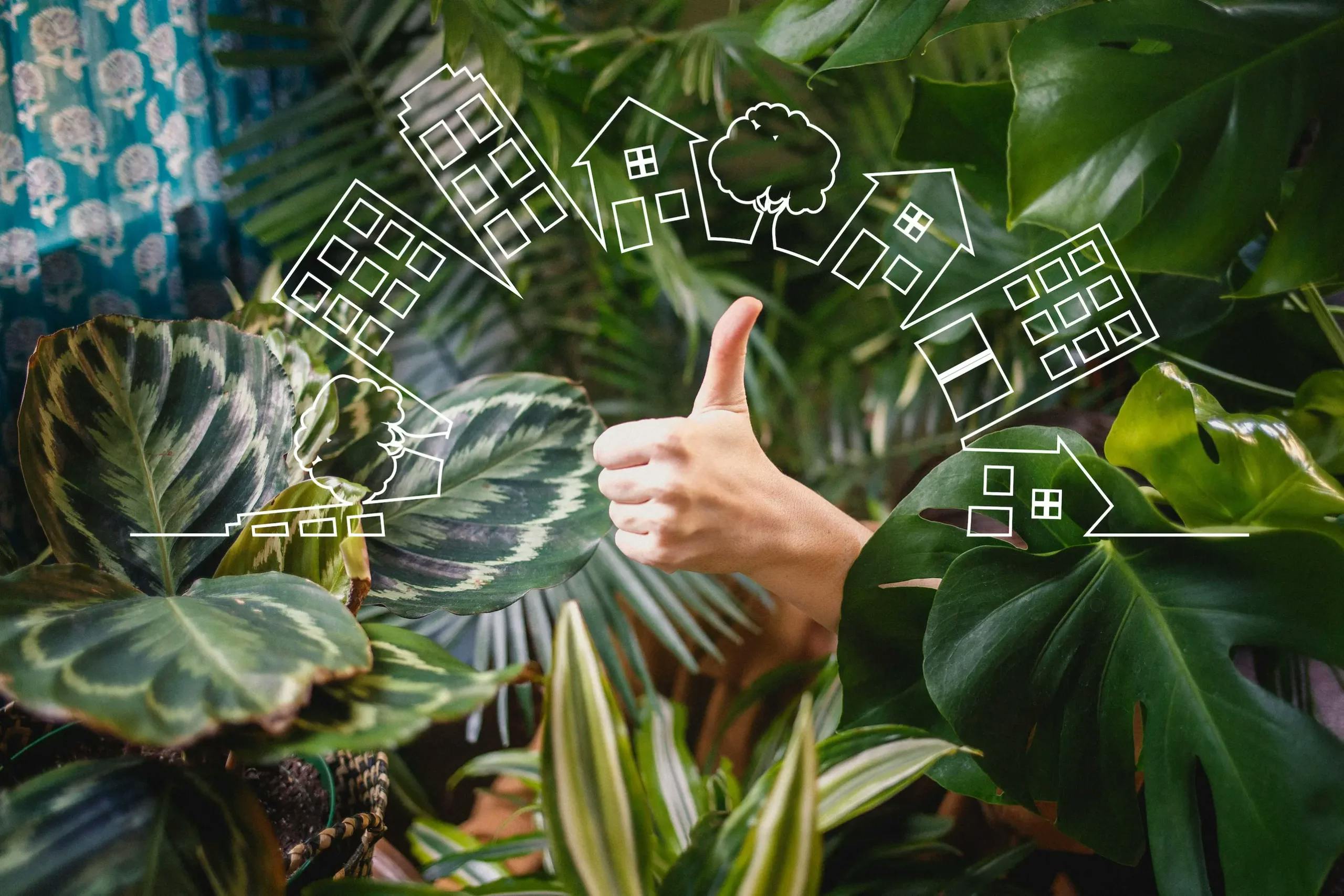 thumbs up hand amongst foliage with icons around